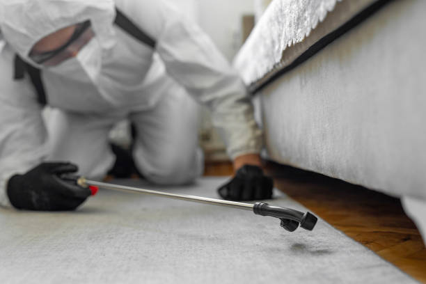 Professional Bed Bug Control technician working in Chinook, MT